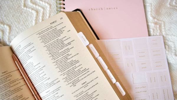 Bible Tabs - Pink & Cream