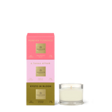 Most Coveted Trio | Glasshouse Fragrances Candle Set