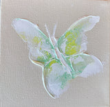 Butterfly by Kati 5”x5” Painting